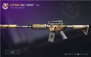 GREAT SKINS AND MORE